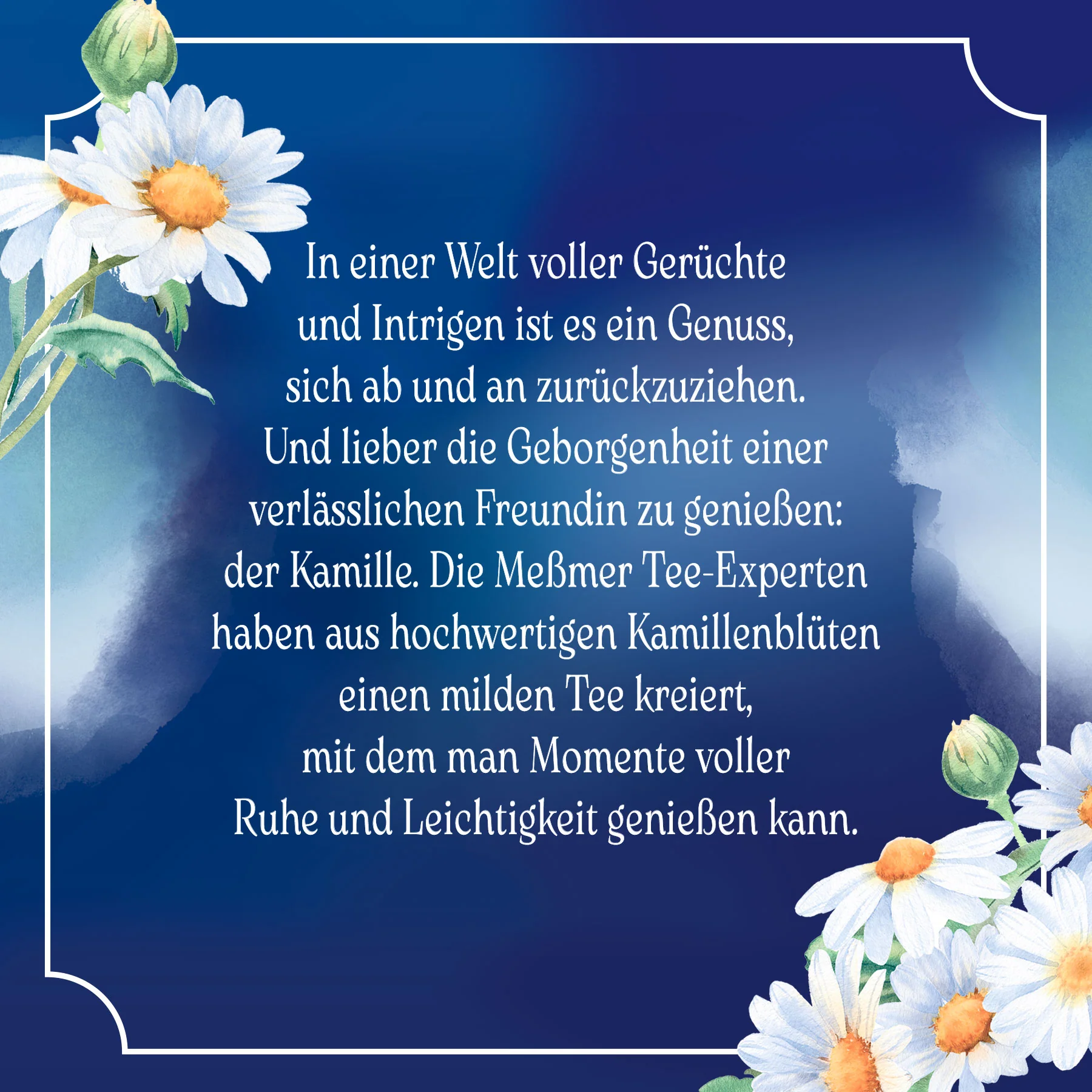 Kamille - Image 2